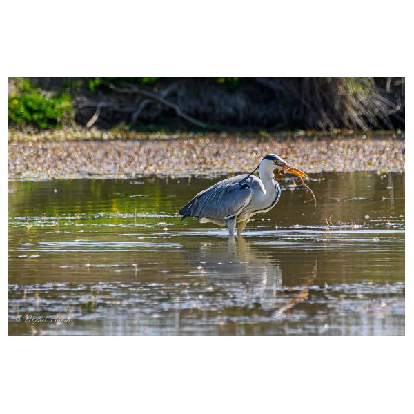 PHOTO84, CLUB, 84 , LUBERON